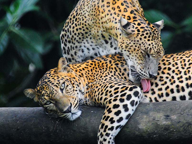Nature & wildlife