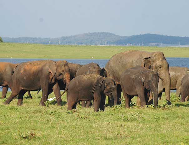 srilanka-at-a-glance2