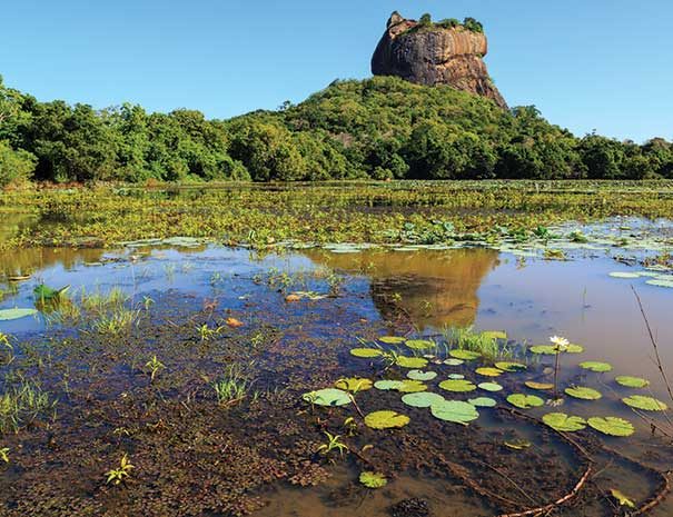 sigiriya-ayurveda-2