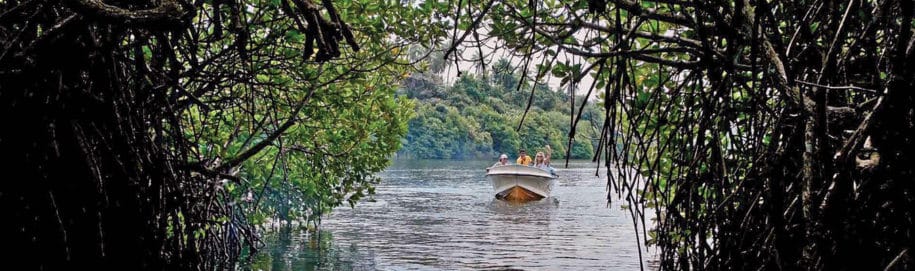 Boat Trip on the Madu River