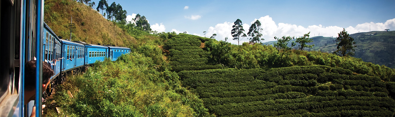 Kandy Ella Scenic Train Trip