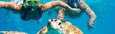 Snorkeling